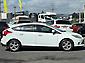2012 Ford Focus TREND 2.0 AUTO HATCH