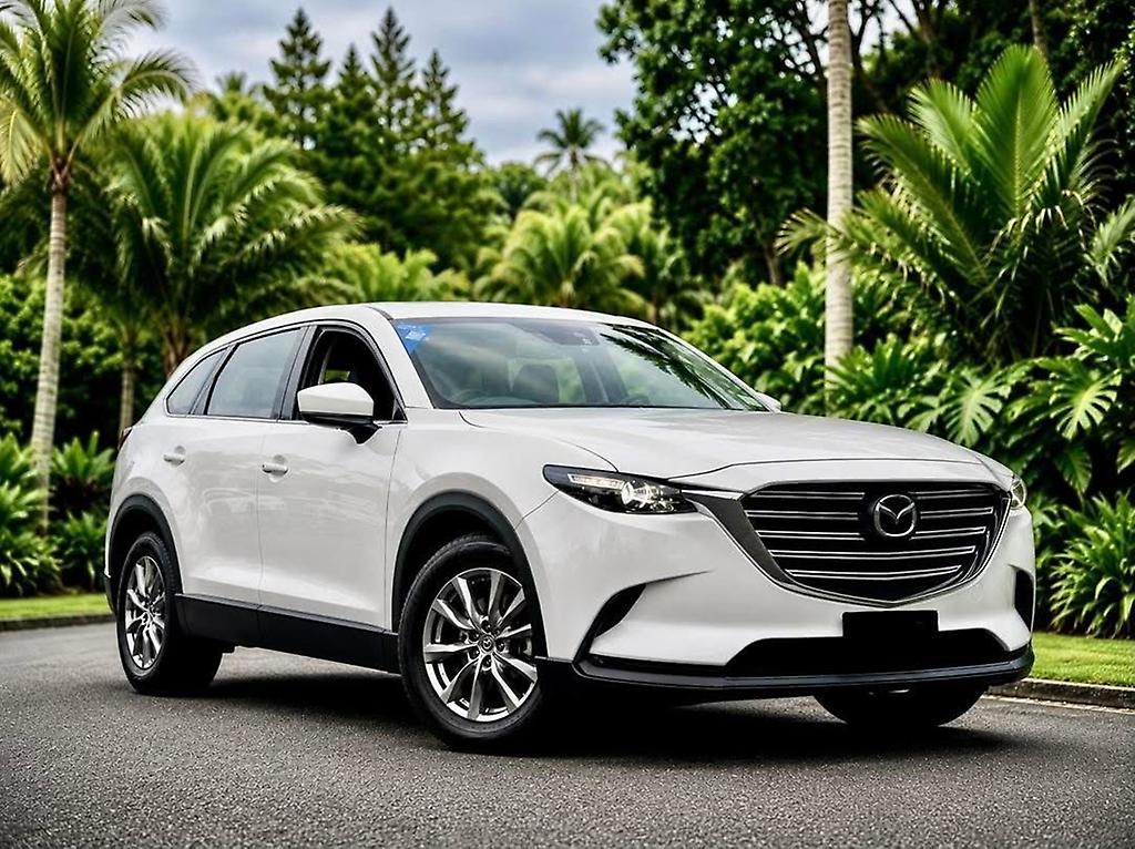 2017 Mazda Cx-9 GSX 2.5PT/4WD/6AT