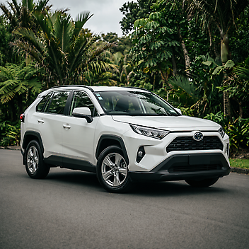 2019 Toyota Rav4 GX 2.0P/CVT