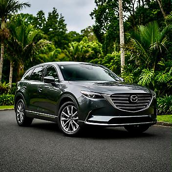 2021 Mazda Cx-9 GSX 2.5PT/4WD/6AT