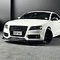 2010 AUDI S5