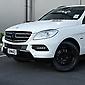 2012 Mercedes-benz Ml 250
