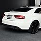 2010 AUDI S5