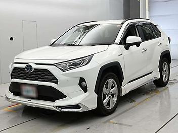 2019 Toyota Rav4 4WD with Modellista Body Kit!