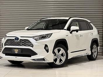 2019 Toyota Rav4 G 4WD with Modellista Body Kit!